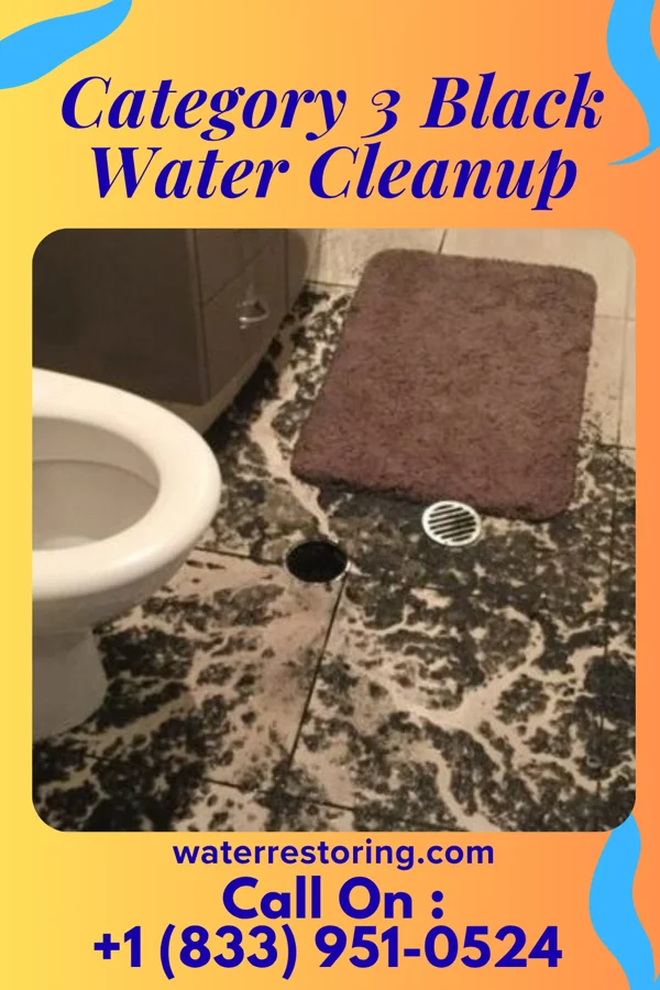 Category 3 Black Water Cleanup in Berkley, CO